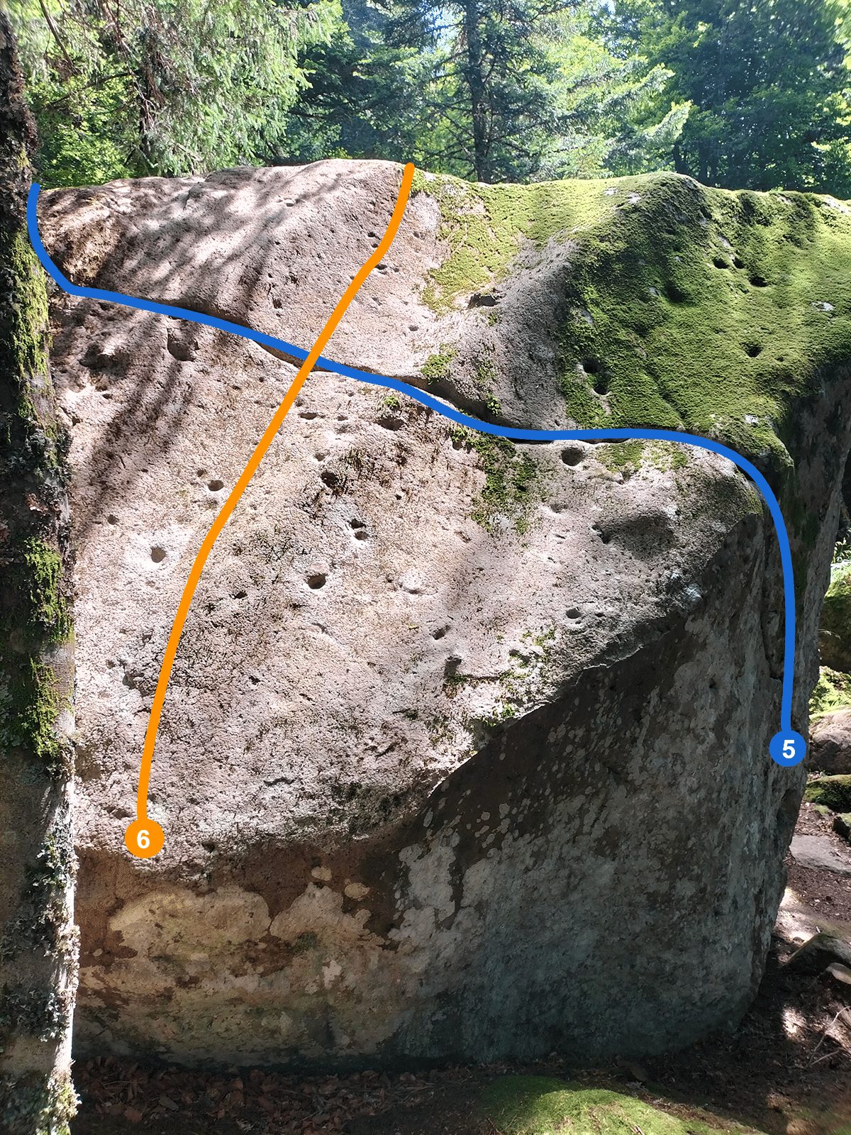 Photo de la voie