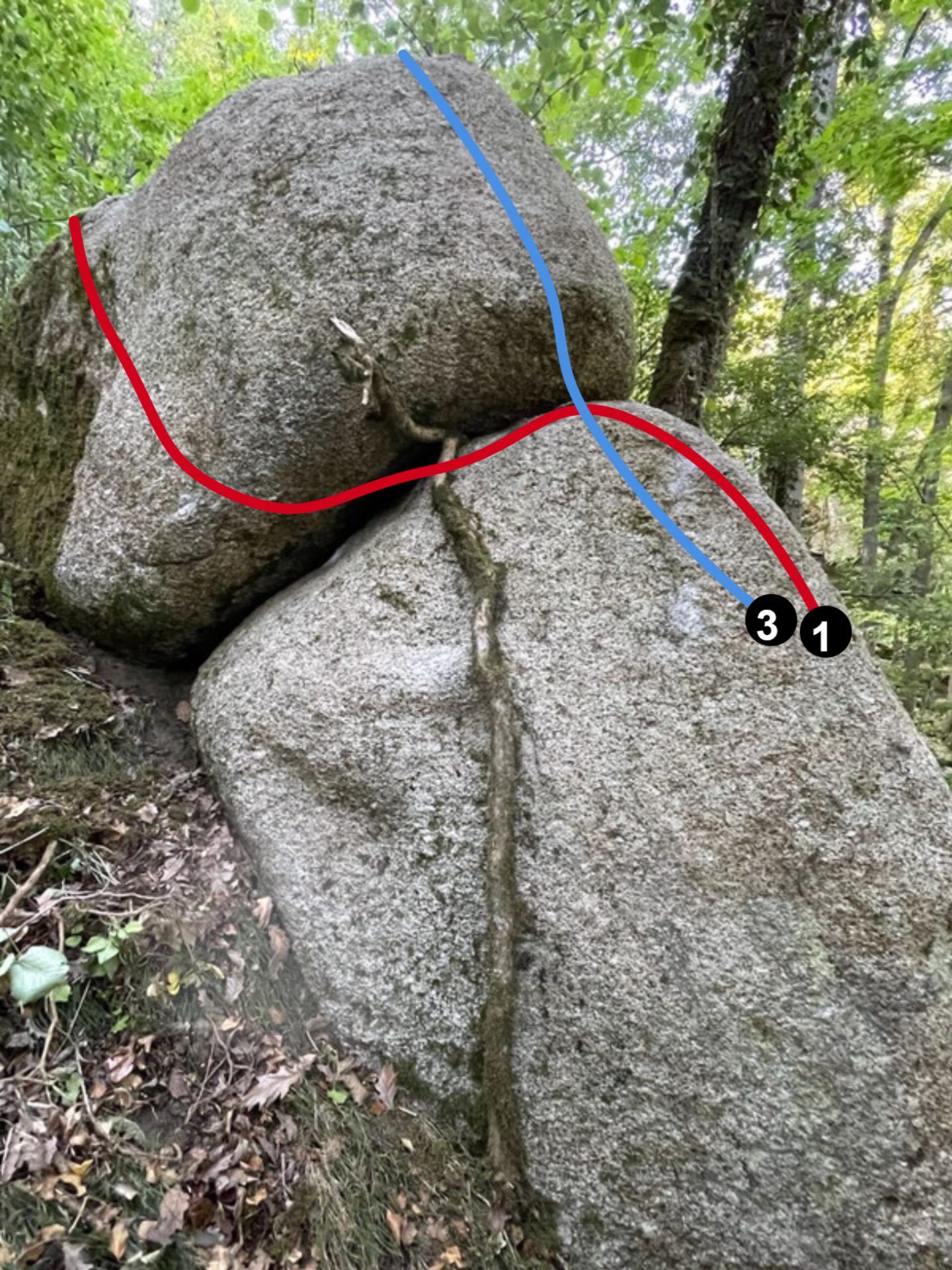 Photo de la voie