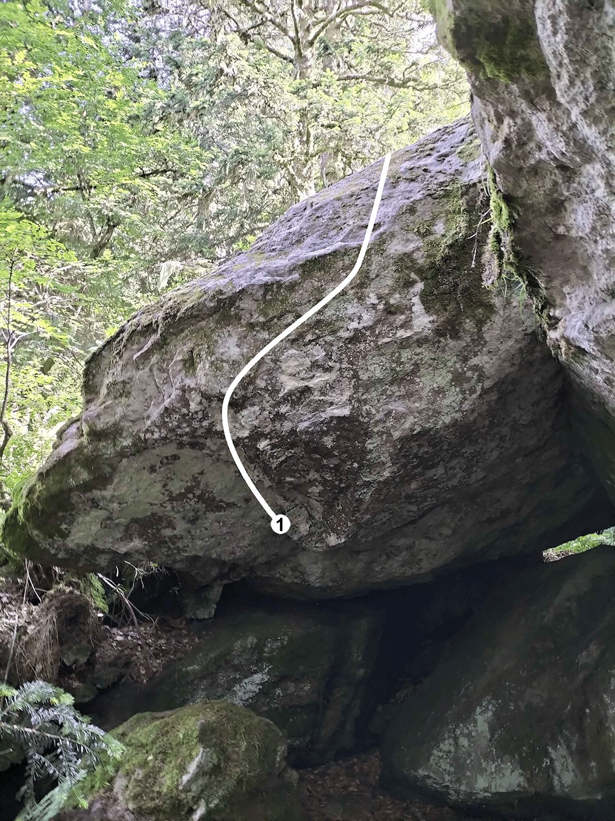Photo de la voie