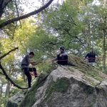 Nettoyage Titan feuillu