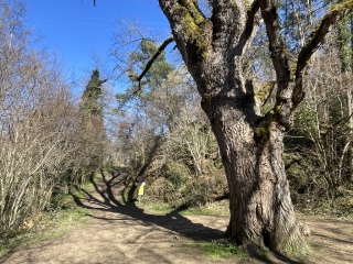 Arrivée sur le site