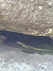 Petit morceau de vie