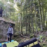 Nettoyage Titan feuillu